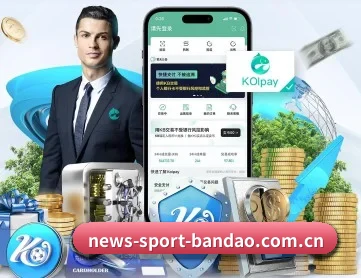 半岛综合 APP 深度功能